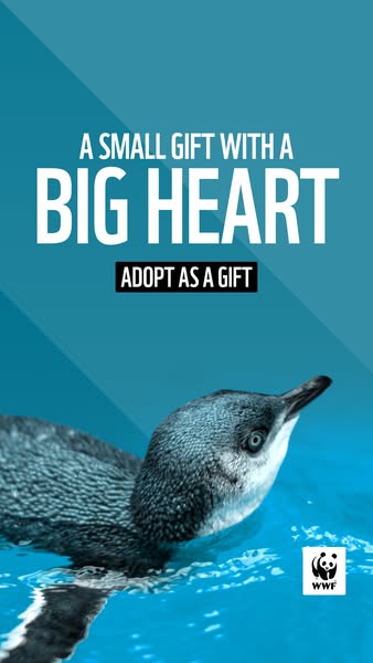 Brand-new adopt