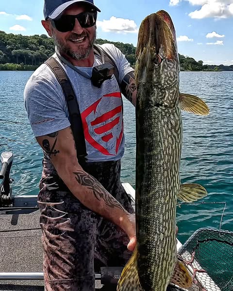 Safe bass