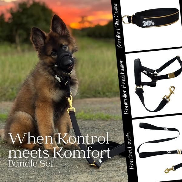 Leash and Collar Set