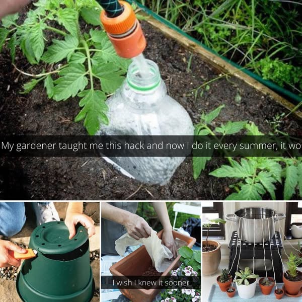 Green Thumb Gardening