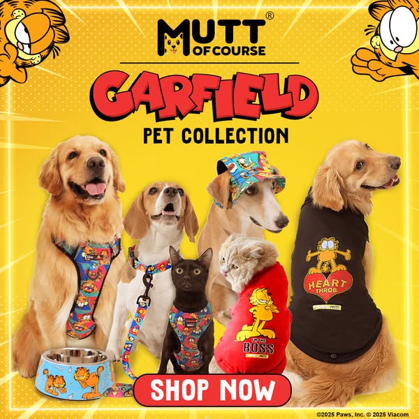 Shop for Pet Beds