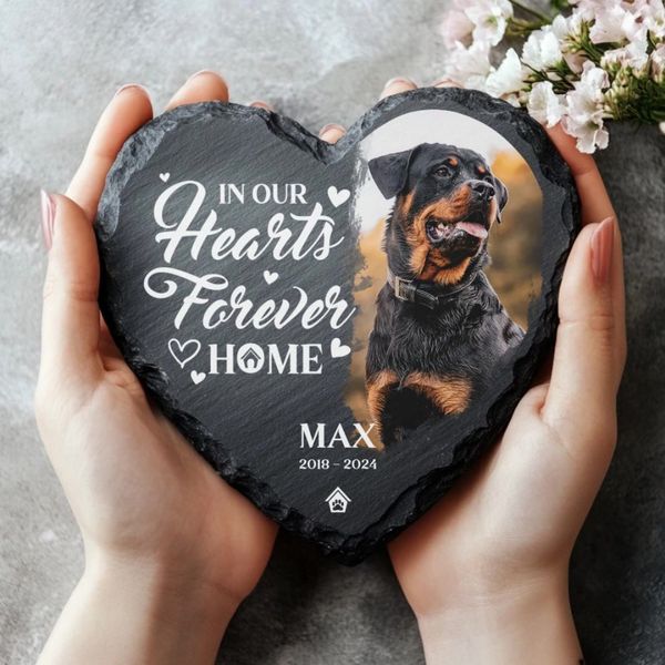 Pet Memorial Stone