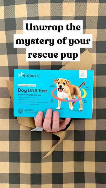 embarkvet.com