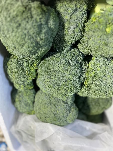 Fresh TNT