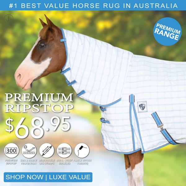Shop for Brand Protection