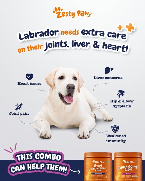 Shop for pet care products