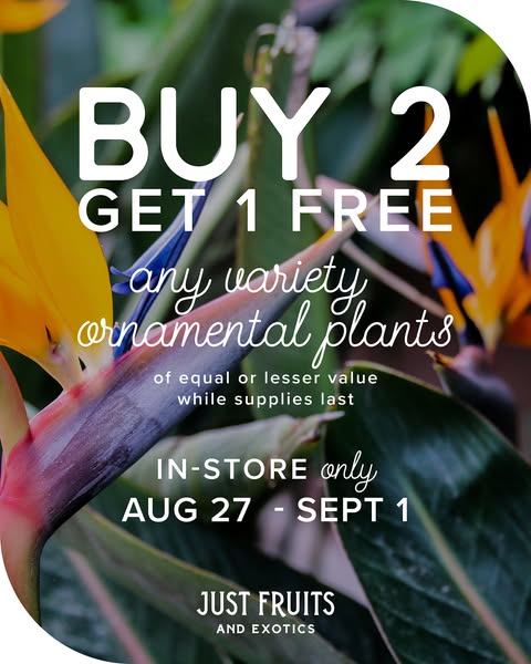 Shop for garden supplies