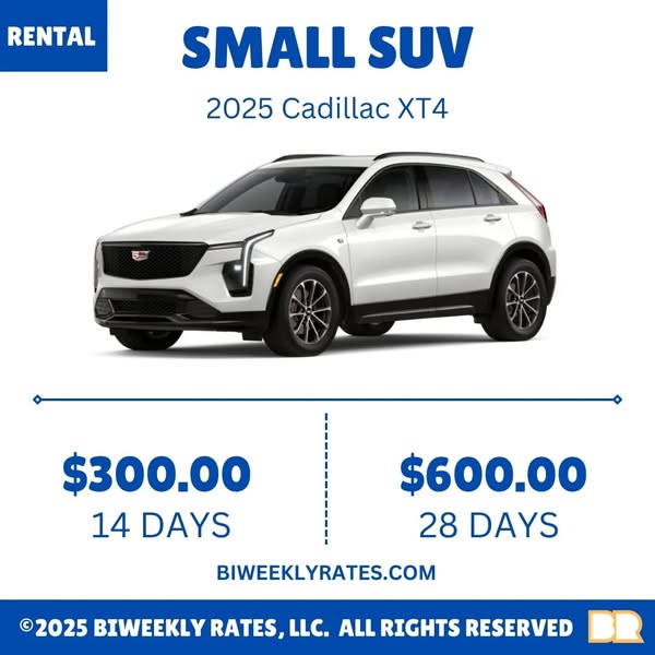 Unlimited rental