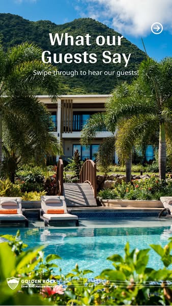Eco-friendly delight