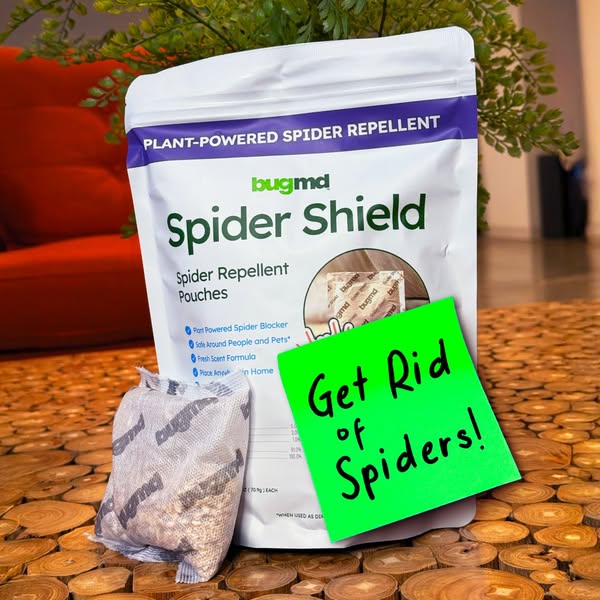 Budget-friendly bug
