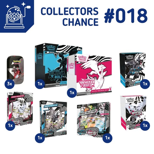 Shop the Collection