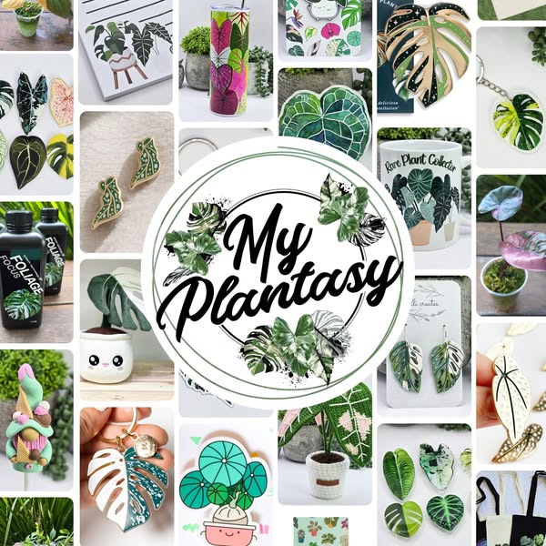 Shop for unique home decor