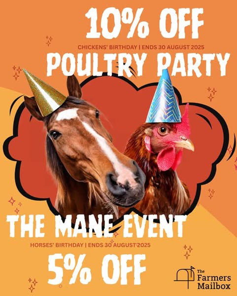 Shop for party supplies