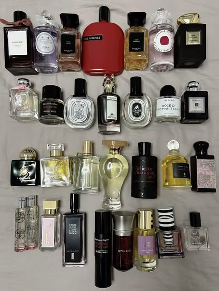 Clothing, Shoes & Accessories