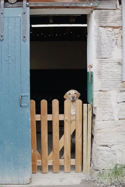 Warm open