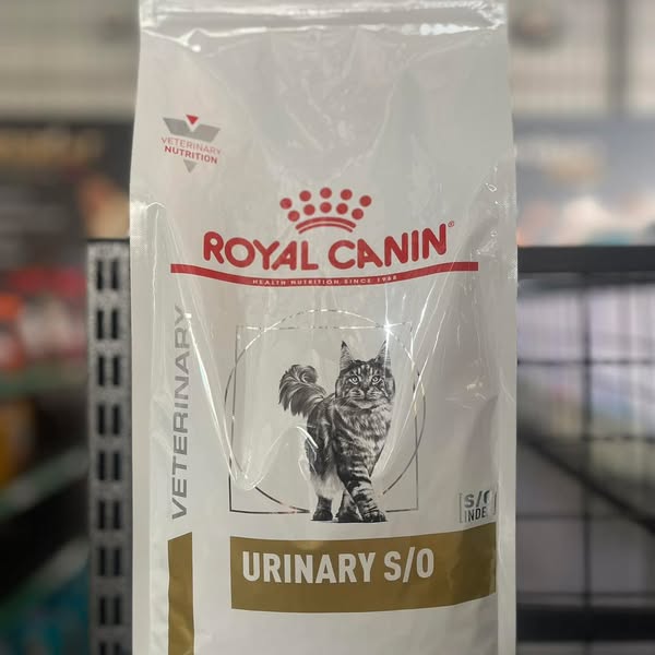 Shop for pet food