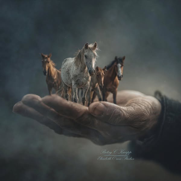 Shop for art prints and posters