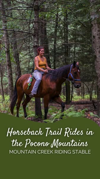 horseback