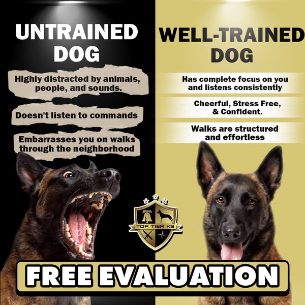 Personalized well-trained
