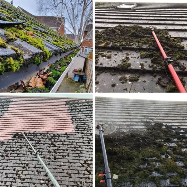 Healthy gutter