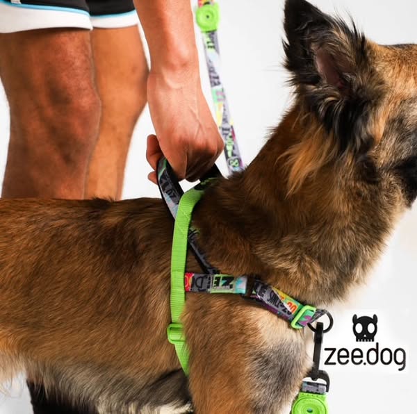 Shop for pet grooming