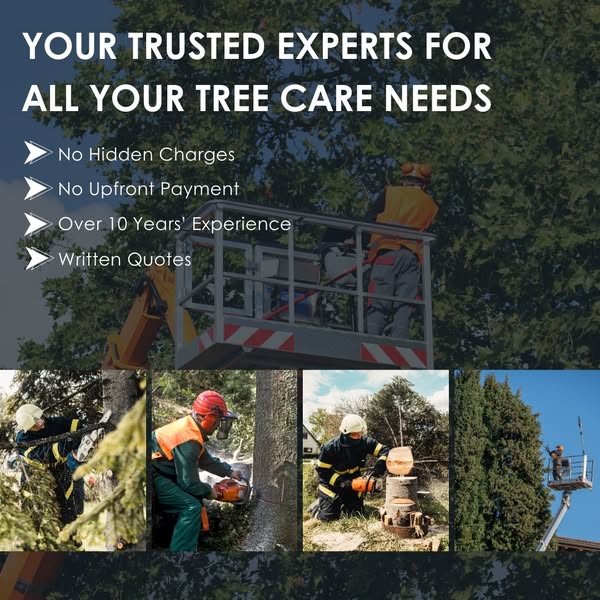 Exceptional landscaping