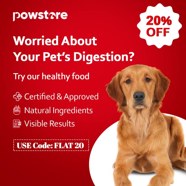 Shop Pets