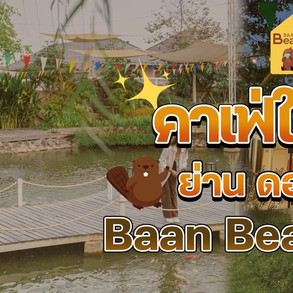 beaver