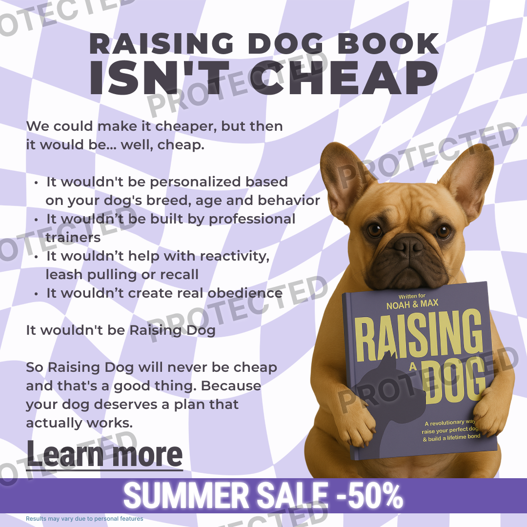 Summer Sale