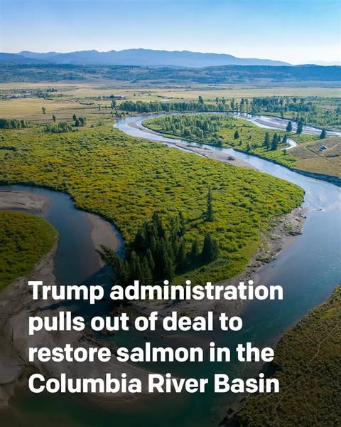 Resilient invest