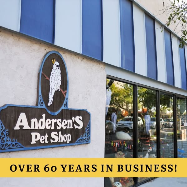Shop for pet grooming products