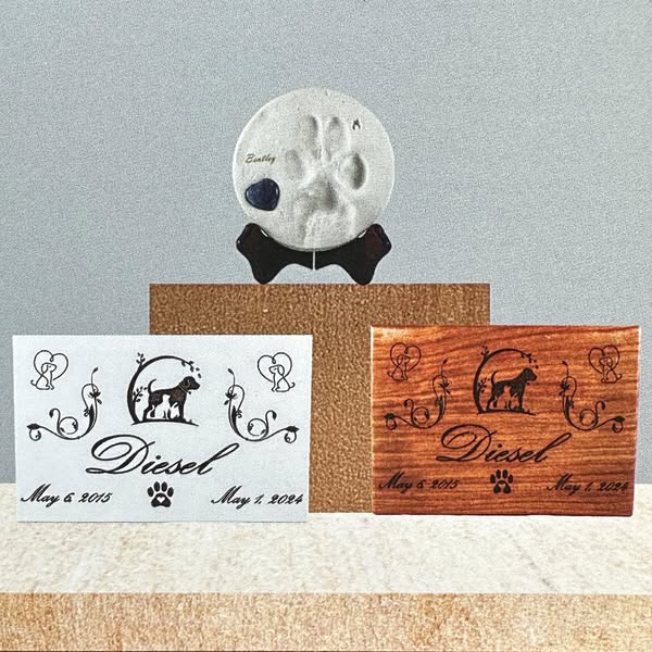 Affordable paw
