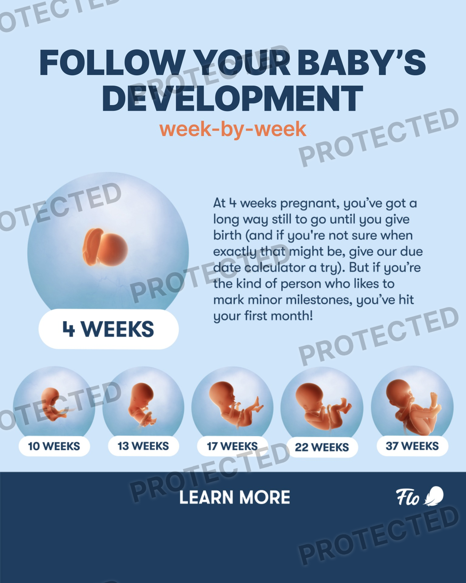 Pregnancy Due Date Calculator