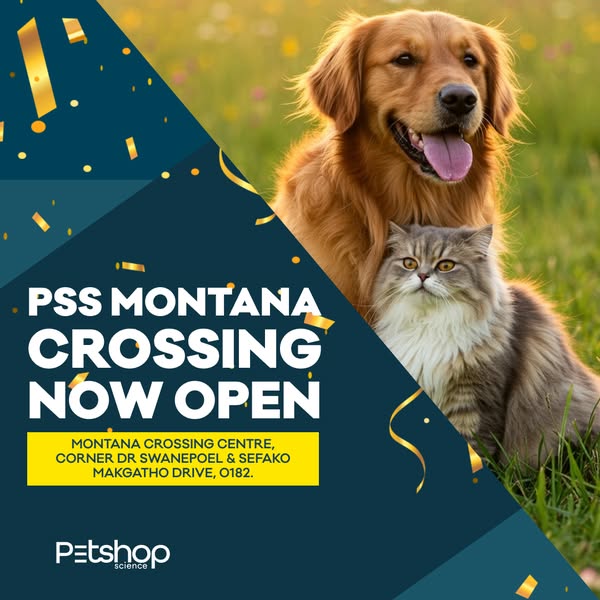 Shop Pets