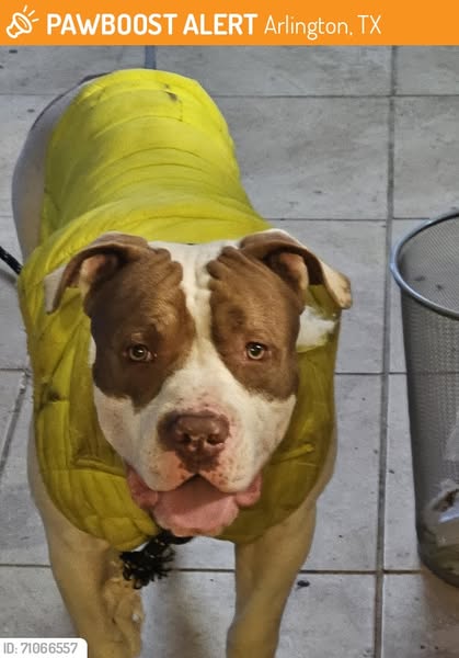 bark.com