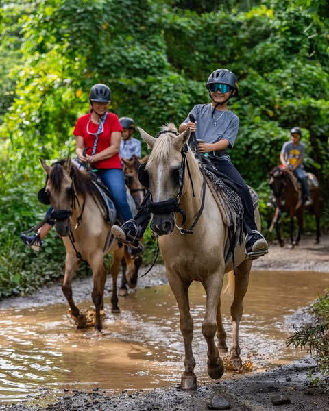horseback