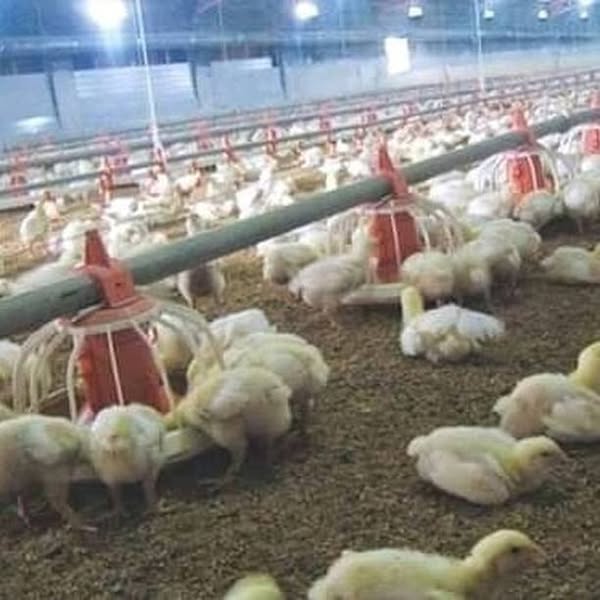 Safe agricultural