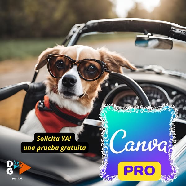 Canva