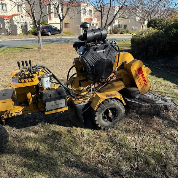 Affordable stump