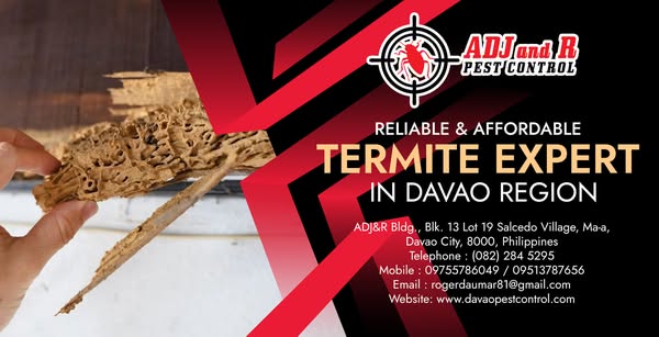 Affordable village