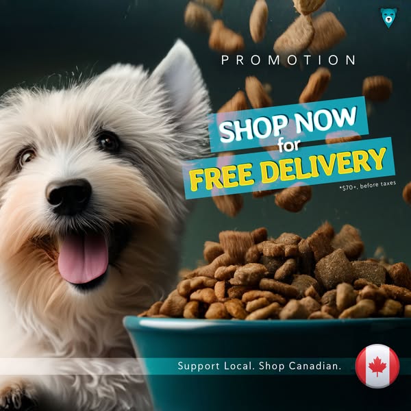 Shop for IT support