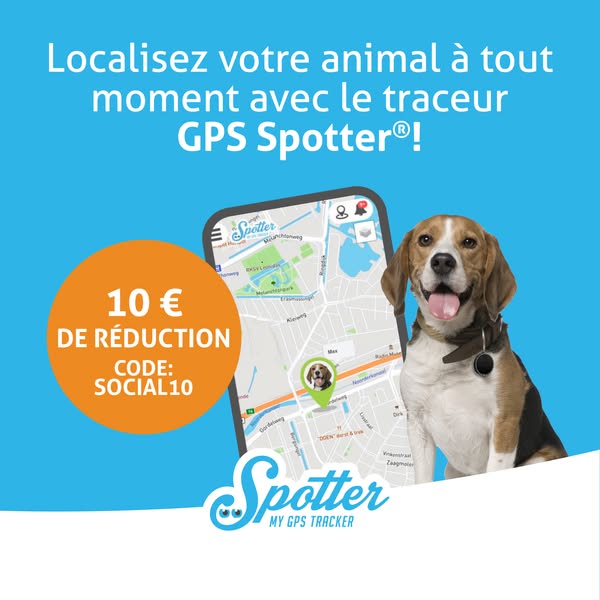 spatter