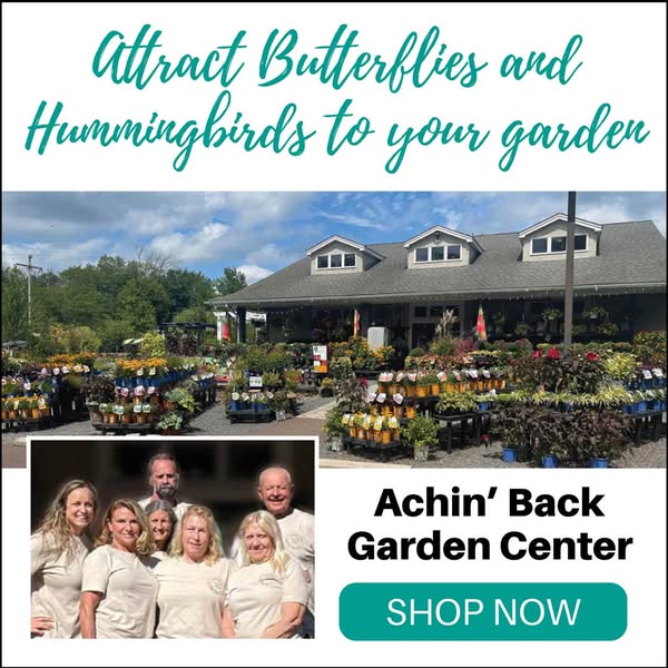 Shop for Curbside Pickup