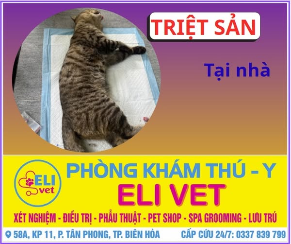 Shop for pet grooming