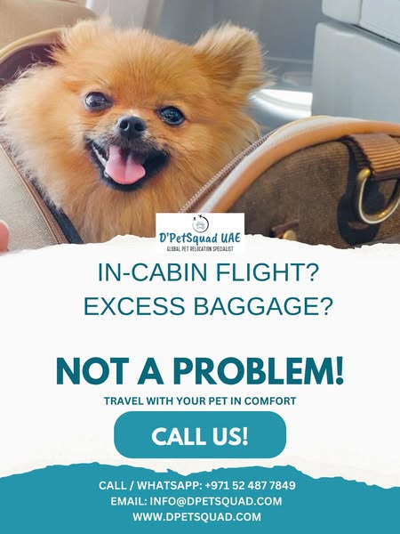 Safe no-fly