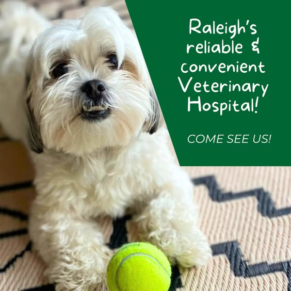 Reliable veterinary
