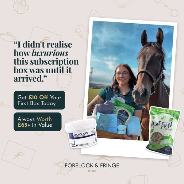 Subscription Box