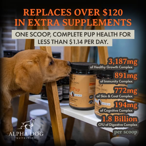 Shop for health supplements