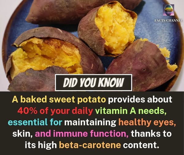 potato