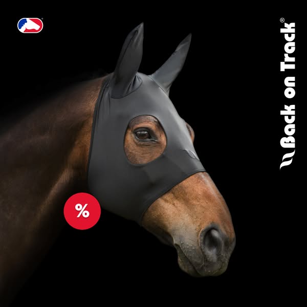 Stylish mask